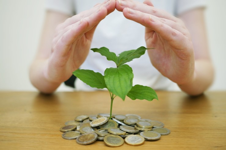 mani che formano una casetta sopra delle monete di euro e delle foglie