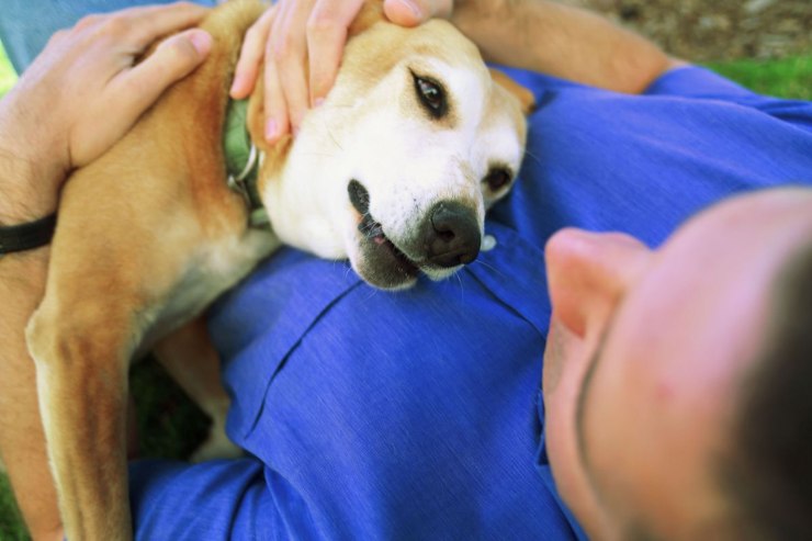 Cane abbracciato al padrone