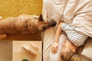 Cane appoggiato sul letto