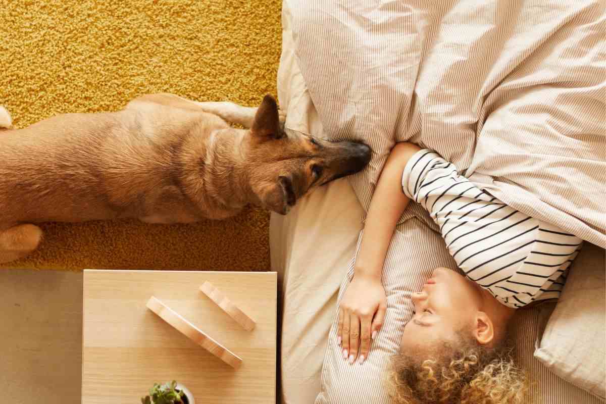 Cane appoggiato sul letto