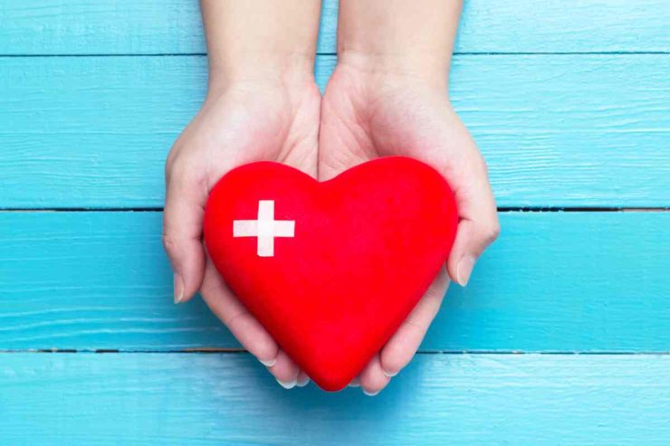 Cuore rosso in mano