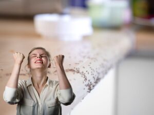 formiche in cucina e donna che esulta