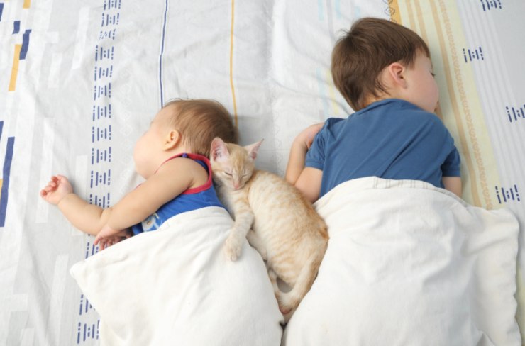 due bambini che dormono nel letto e in mezzo un gatto