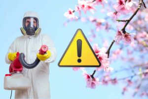 disinfestatore con ramo di ciliegio e segnale di pericolo
