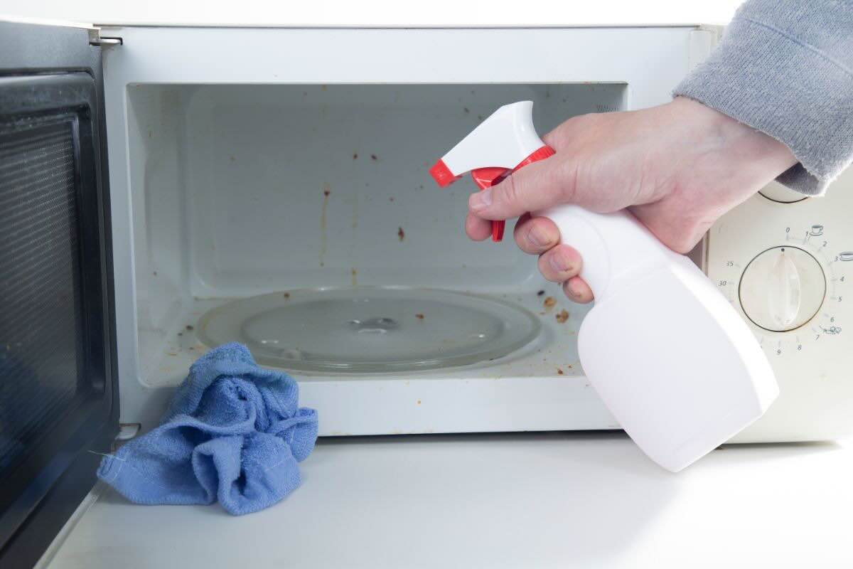 Pulire forno microonde mano tiene detersivo spray