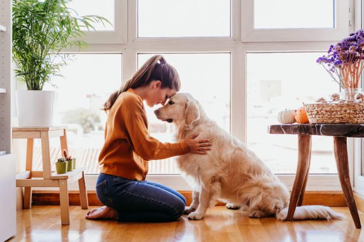 cane e padrone che si coccolano