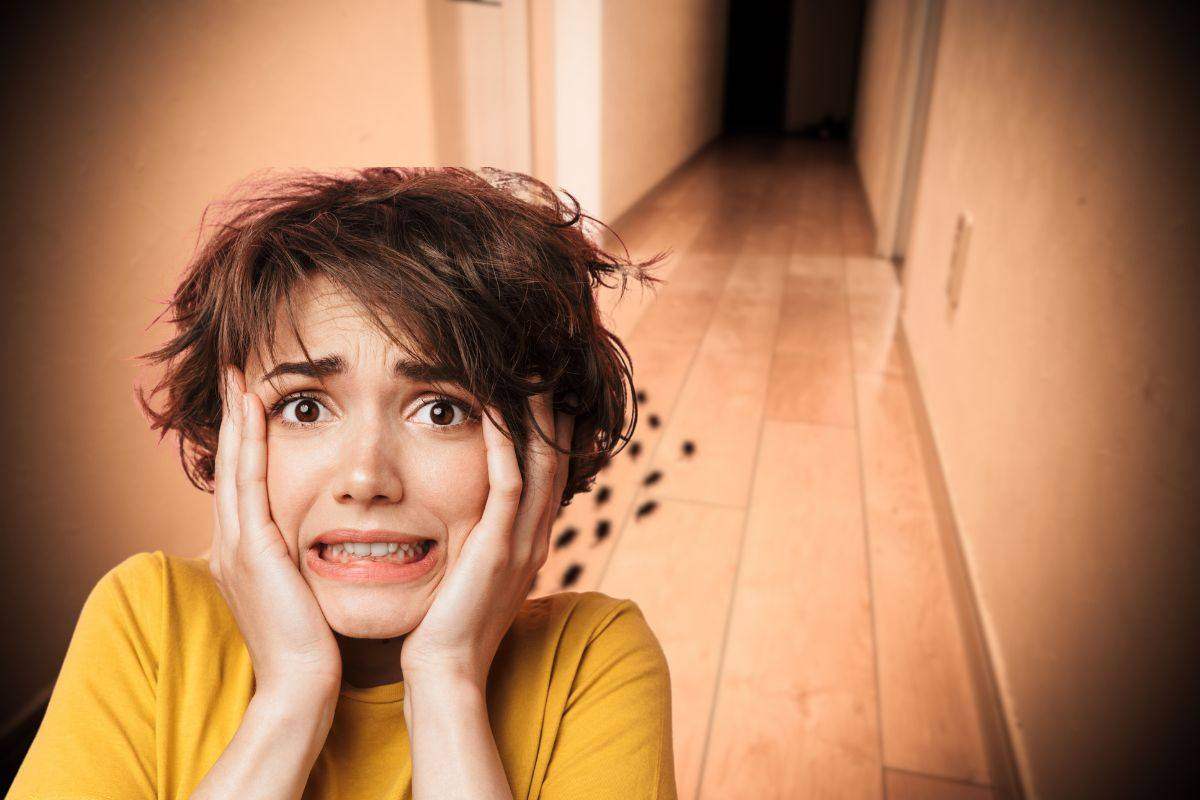 scarafaggi in casa e donna spaventata 