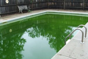 Piscina con l'acqua verde
