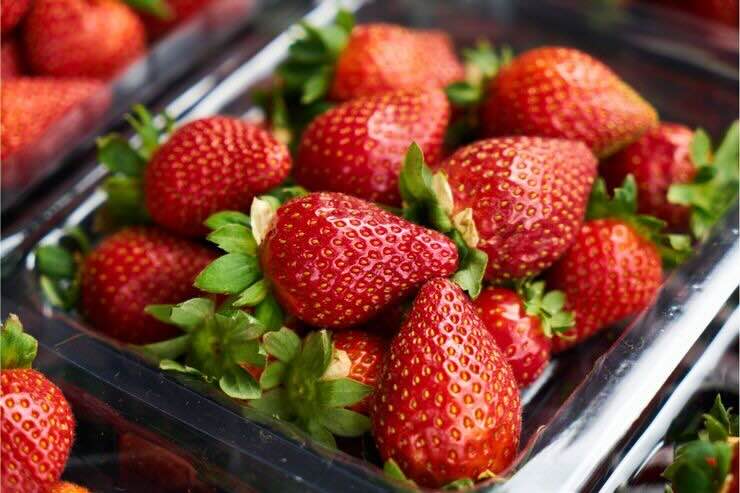 Fragole