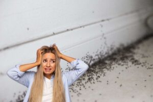 formiche lungo il battiscopa ed una ragazza che non sa che fare