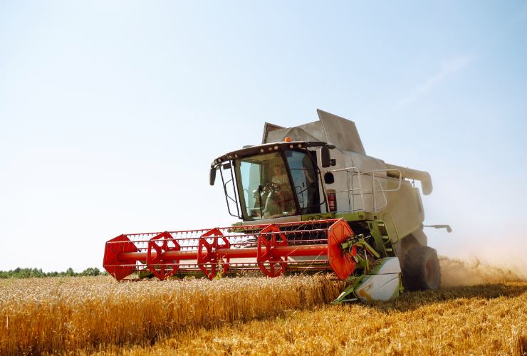 lavoro agricolo