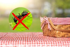 un cestino da pic-nic con una formica vicino ed x sopra