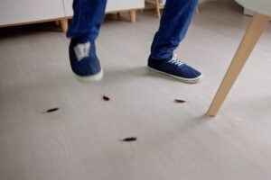persona che tenta di schiacciare le blatte con le scarpe