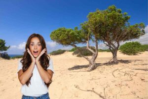 la spiaggia desertica e una ragazza stupita