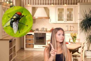 una cucina ordinata ed una ragazza che fa no. Nel riquadro c'è una mosca