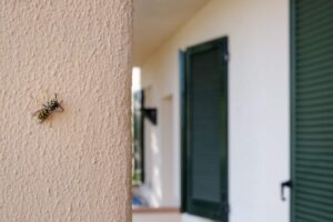 una vespa poggiata su un muro nelle vicinanze di una casa
