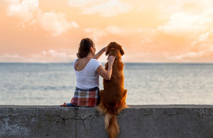 un cane con la sua padrona al mare