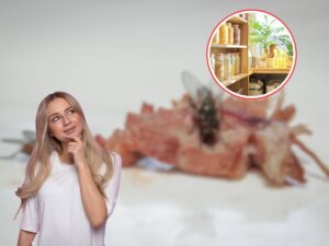 mosche su cibo, donna che pensa e dispensa in icona